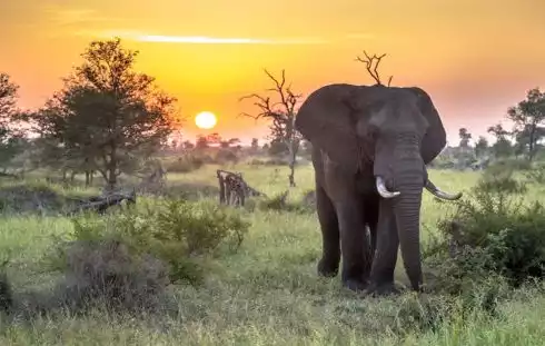 Christmas in South Africa